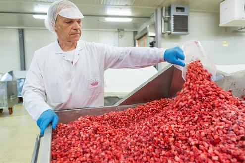 Production Plant Gleisdorf